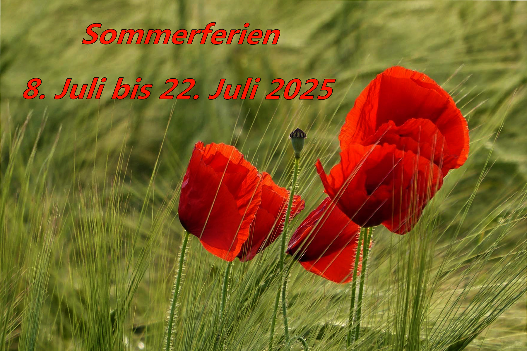 Sommerferien 2023 k